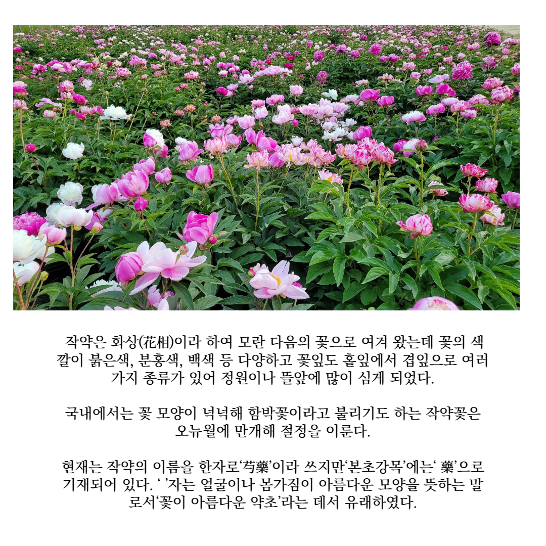 농장 소개-찬누리원(유)농업회사법인