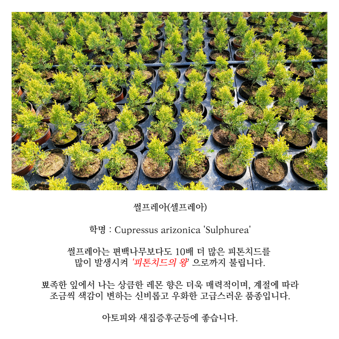 농장 소개-찬누리원(유)농업회사법인
