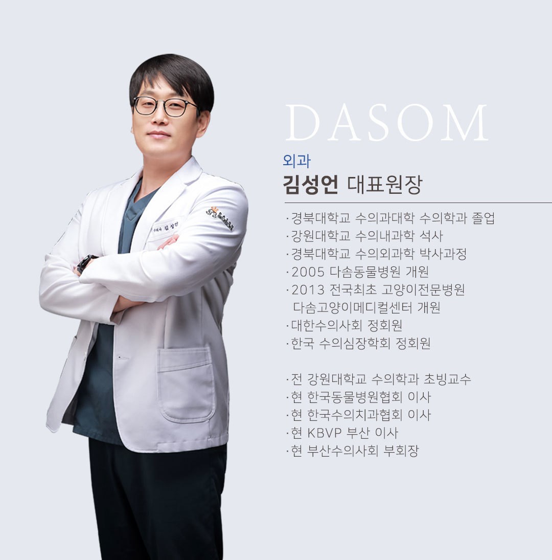 부산다솜동물병원 부산다솜동물병원