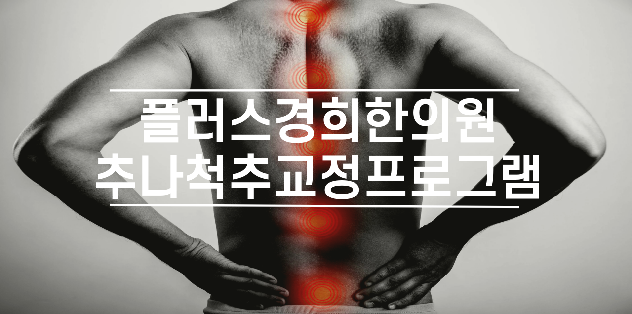 추나척추교정 프로그램-플러스경희한의원