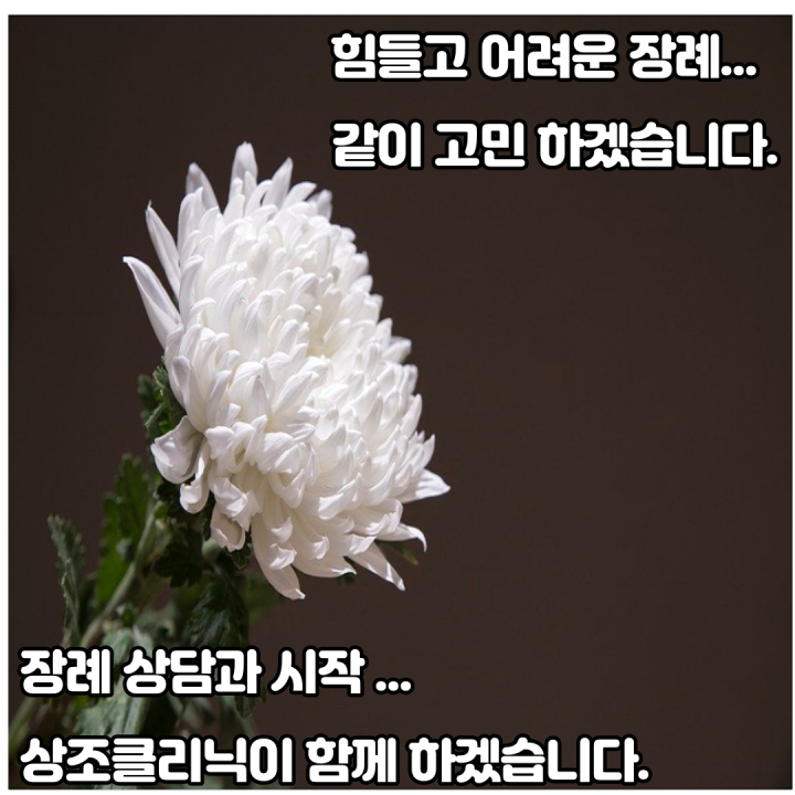 무빈소 가이드 | 상조클리닉