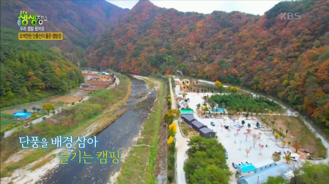 외부전경-정선 파인트리캠핑장