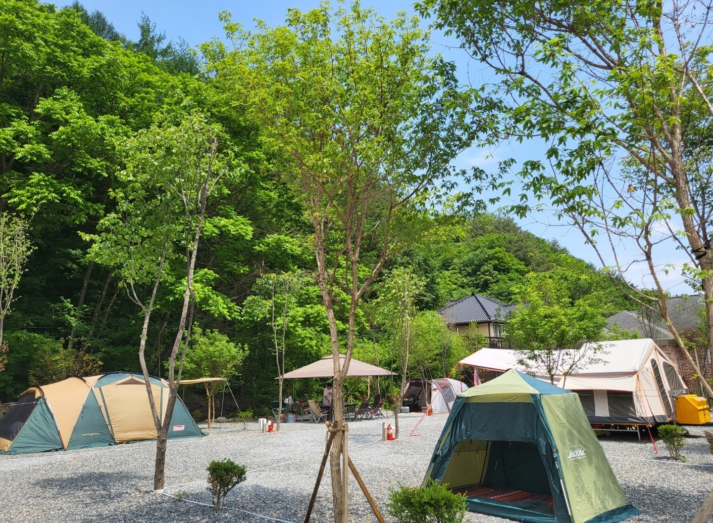 캠핑 사이트-평창 더힐링펜션