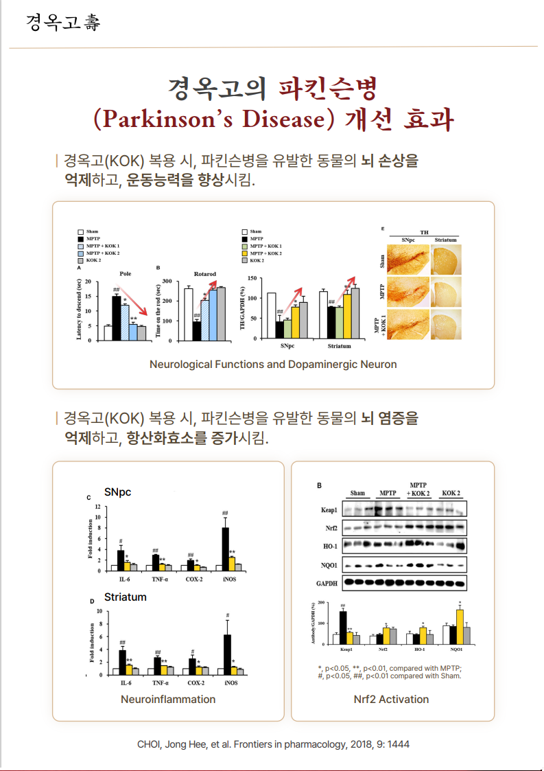 경옥고-구로더바른한의원