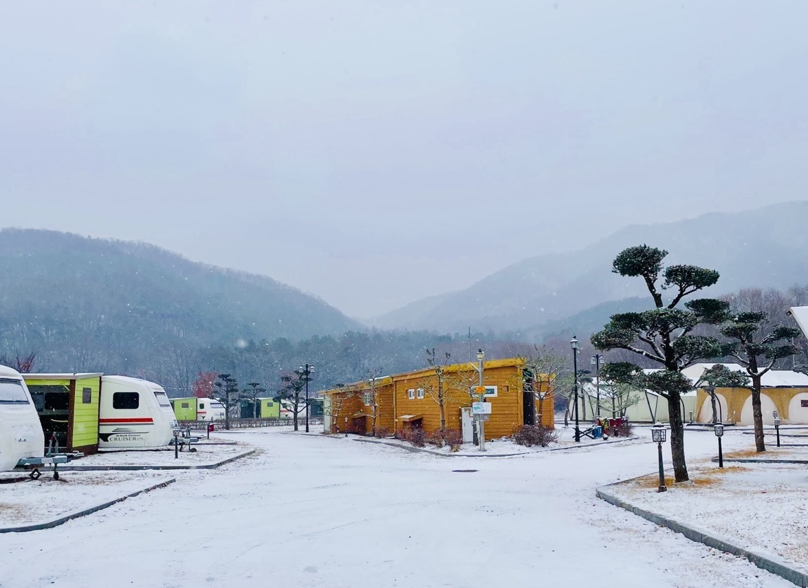 객실 소개-용인대장금파크 글램핑&카라반