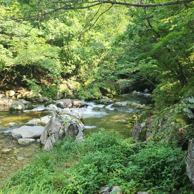 시설안내-도마치계곡 별누리 펜션