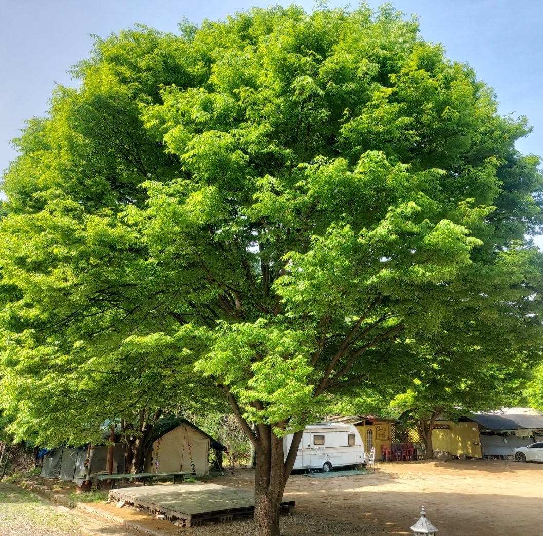 외부전경-월송산장캠핑