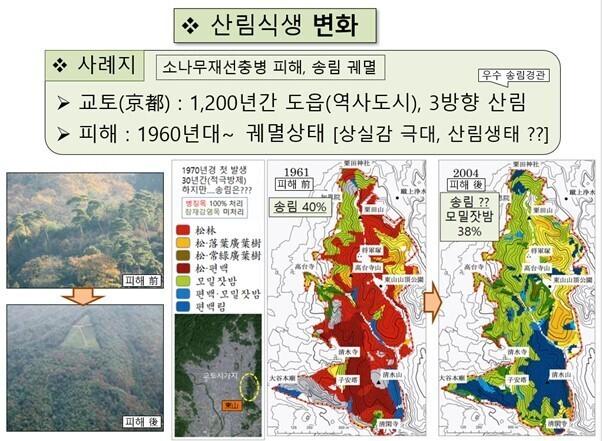 소나무병원 이미지