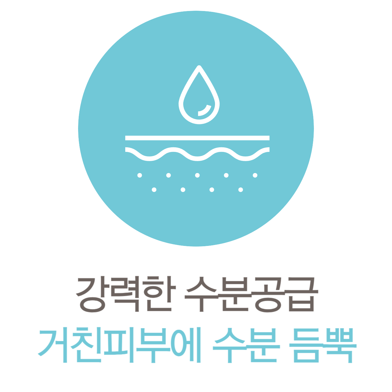 바디케어-디오에이치
